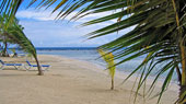 Honeymoon in Jamaica