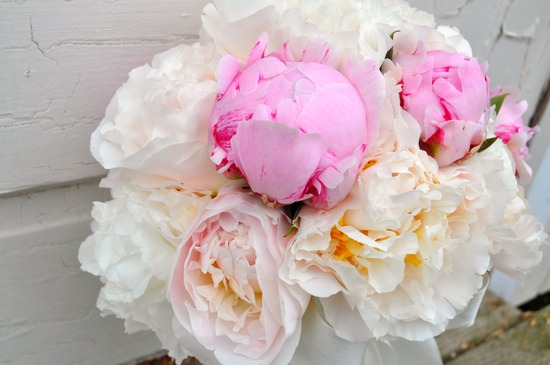 photo of Why Brides Love Peonies for the Wedding Day