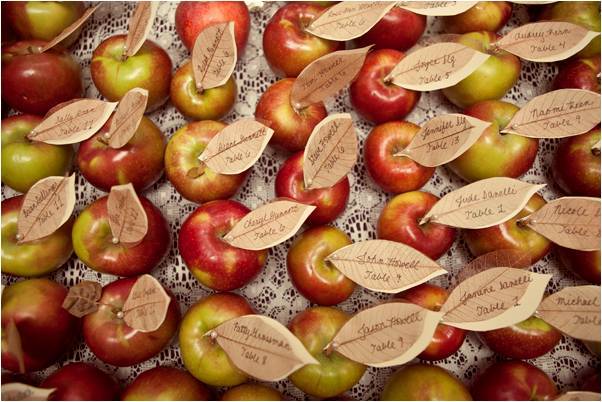 Vegan-wedding-eco-chic-handmade-diy-escort-cards-made-from-real-apples.full