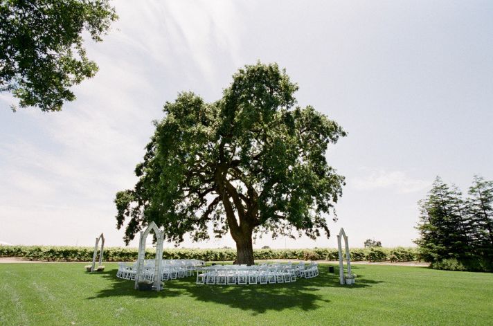 get married under a tree outdoor wedding venues