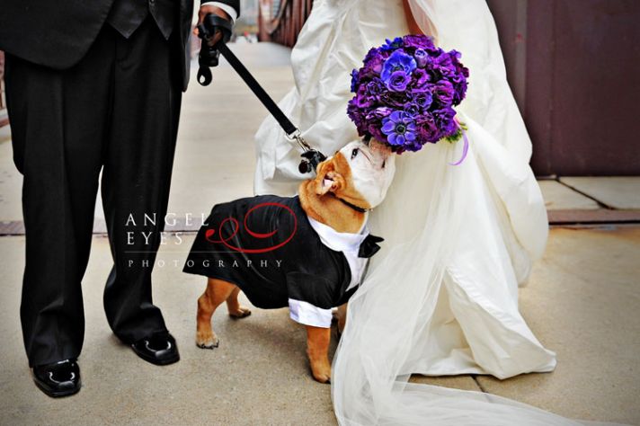 priceless wedding photos escape from wedding planning stress Unforgettable Ring Bearers smell the ro