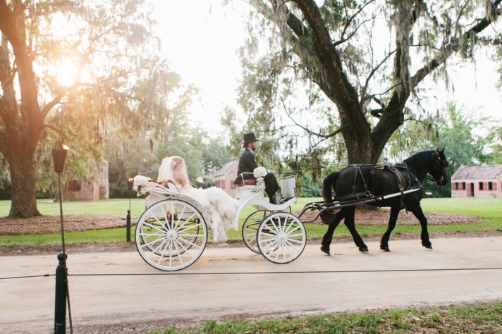Bride arrives to wedding ceremony in horse drawn carriage