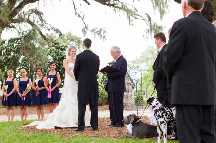 Bride arrives to wedding ceremony in horse drawn carriage