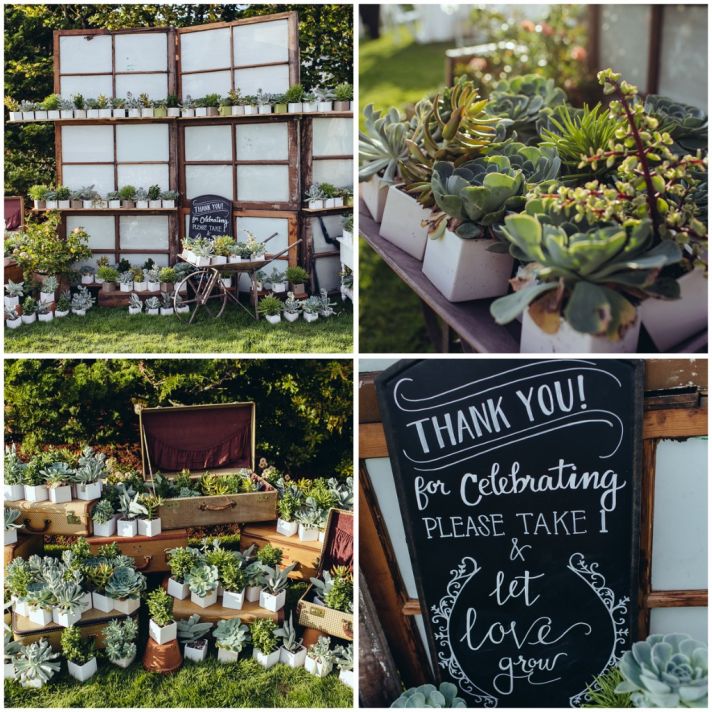 Succulent favor display