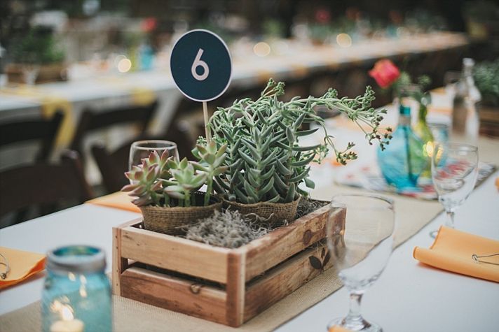 Succulent Centerpieces in Wooden Crate