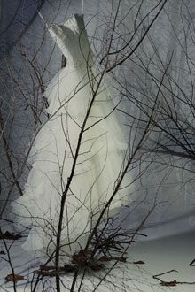 winter-wedding-fairytale-strapless-romantic-wedding-dress