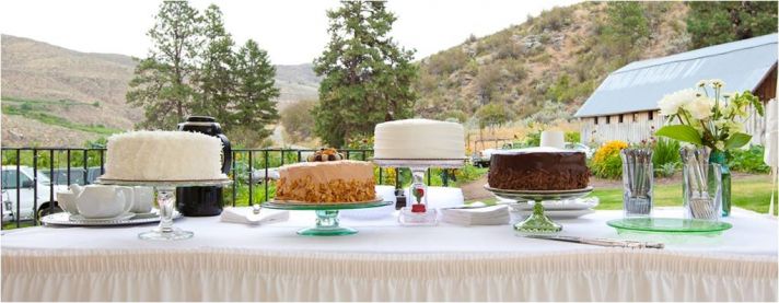 Delicious wedding reception dessert table with Washington mountains in background