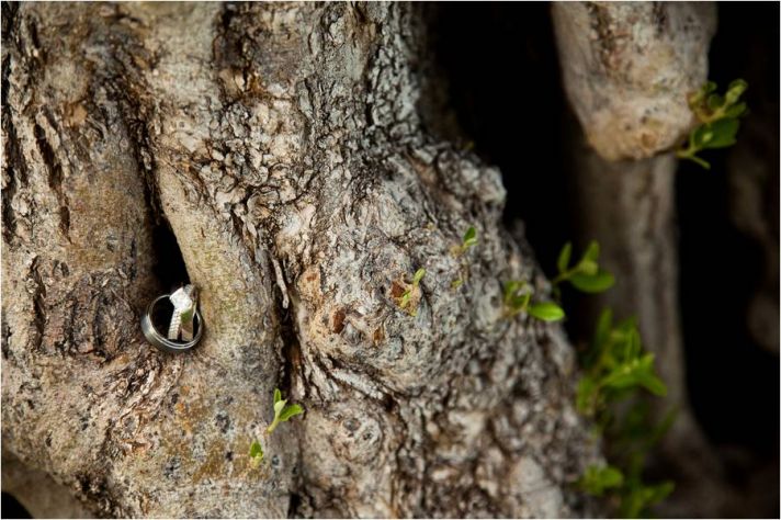 Engagement ring and wedding bands photographed on bark of large tree