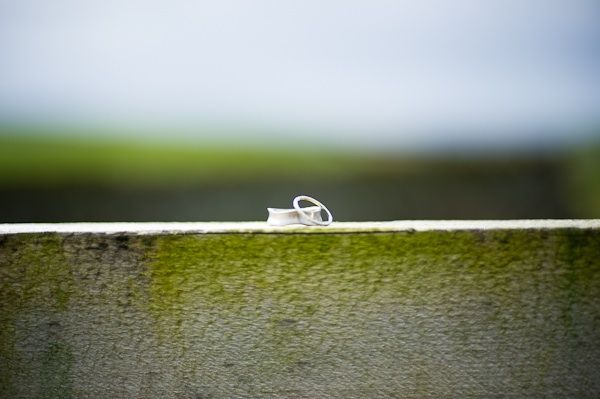 Eco-friendly wedding bands