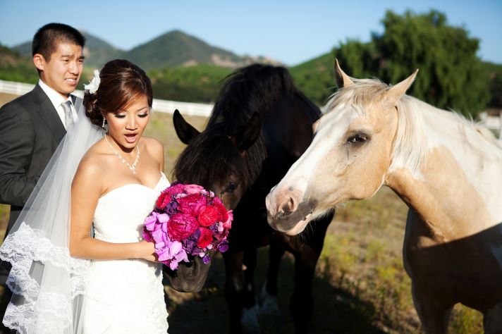 bride groom get friendly with horses california wedding