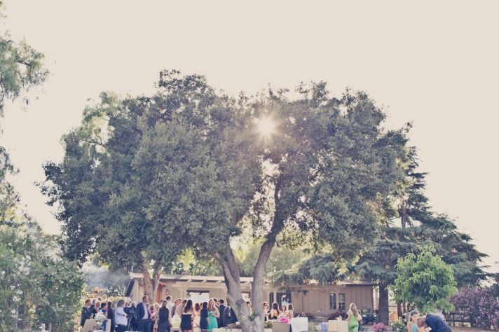 Elegant real weddings lavender peach wedding colors cocktail hour beneath tree