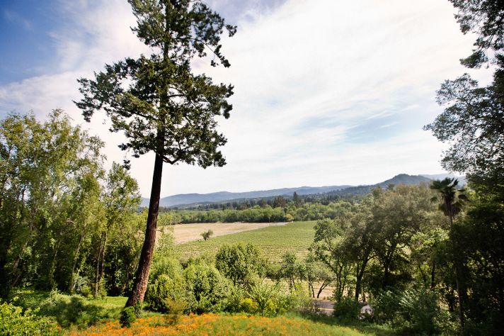 Wine country wedding vista
