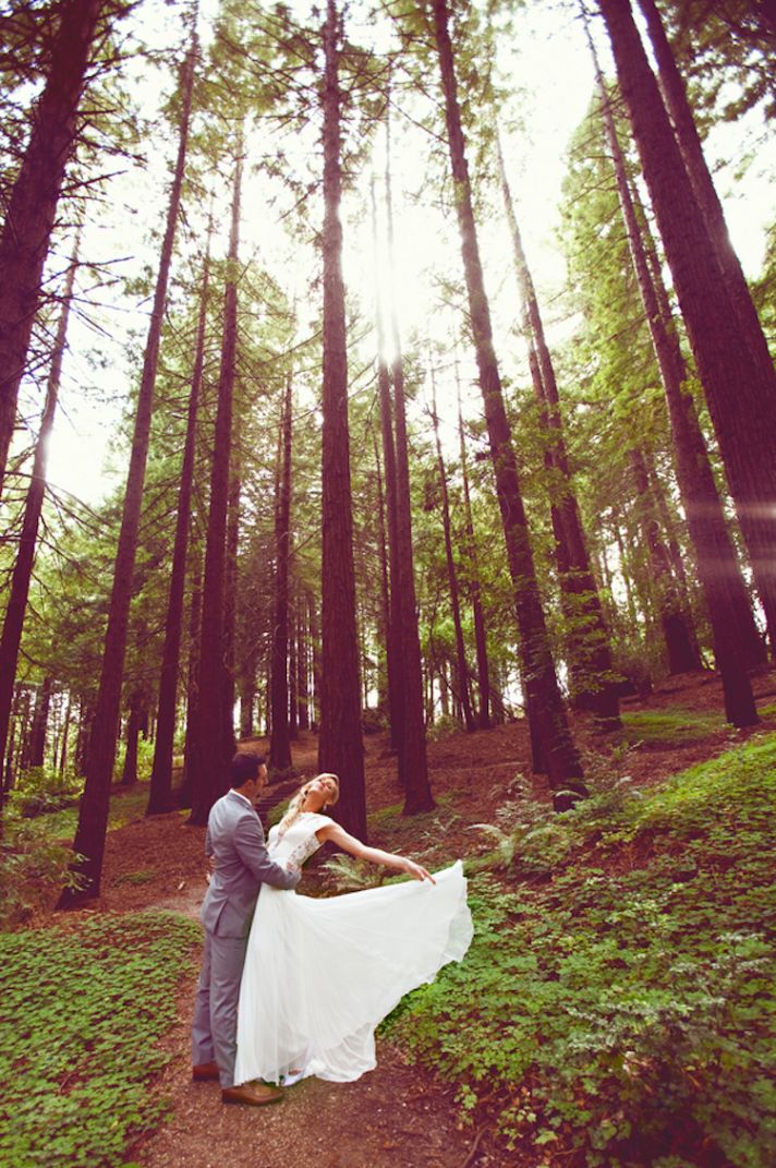 Fabulous Forest Photography