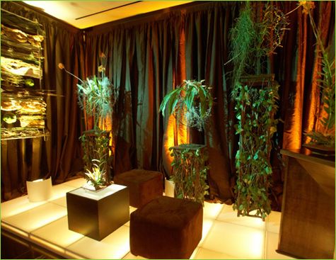 Tropical-themed Room with a Jungle Vibe