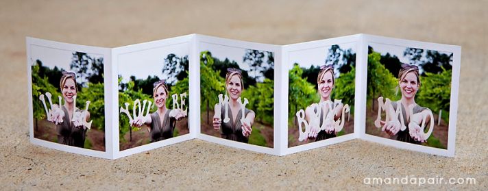 Unique Wedding Ideas to say Will You Be My Bridesmaid photo foldout