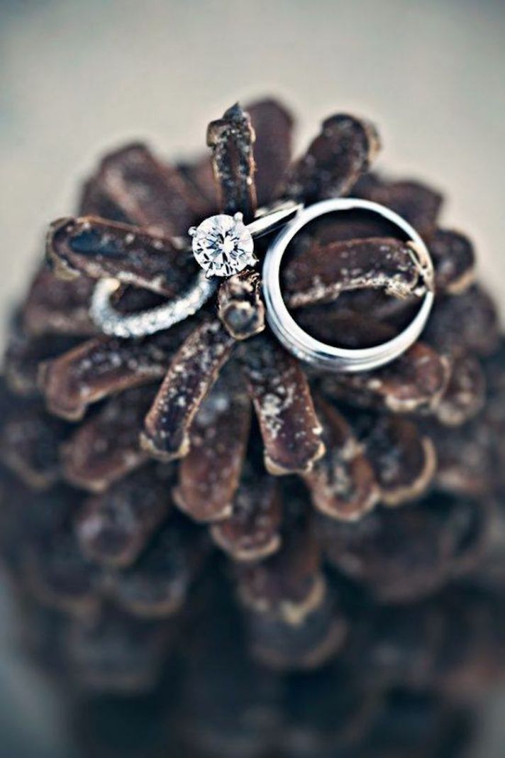 ringshot dec 2013