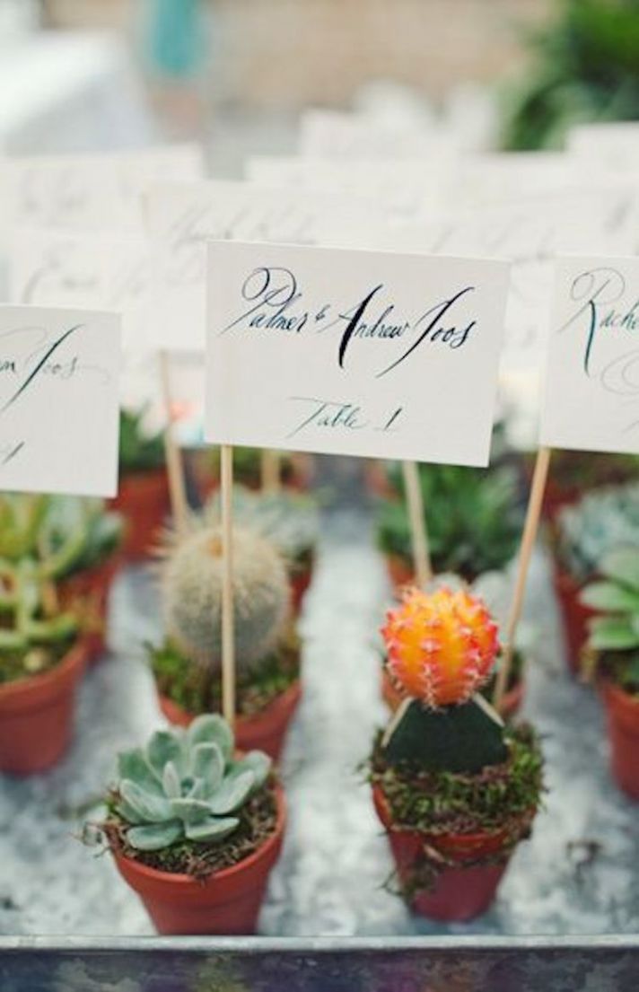 Succulent Escort Cards