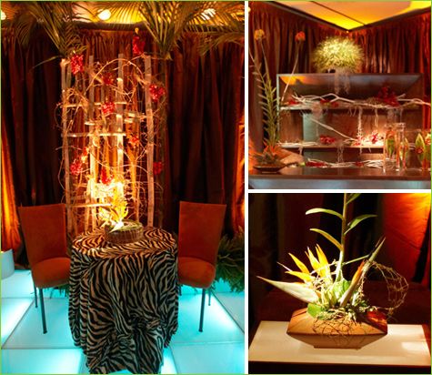 Tropical-themed Room with a Jungle Vibe