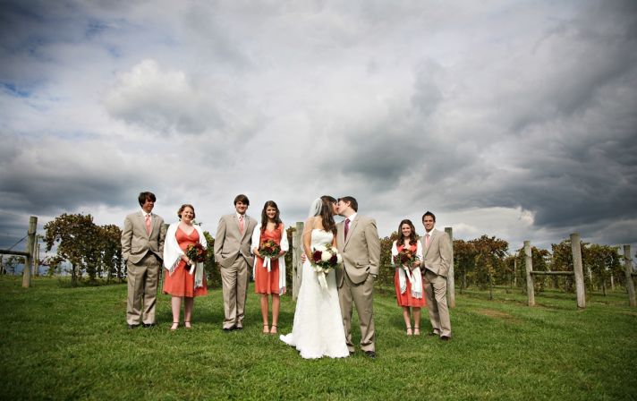 Wedding party, bride and groom pose outside in open vineyard, cloudy blue sky as backdrop