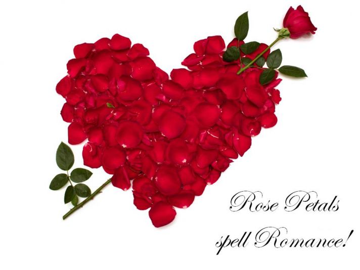 Rose petals bring romance to any room, whether for your wedding day or Valentine’s Day