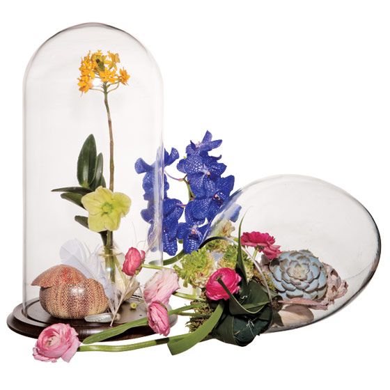 unique wedding centerpiece Epidendrum orchids Vanda orchids hellebores ranunculus echeveria preserve