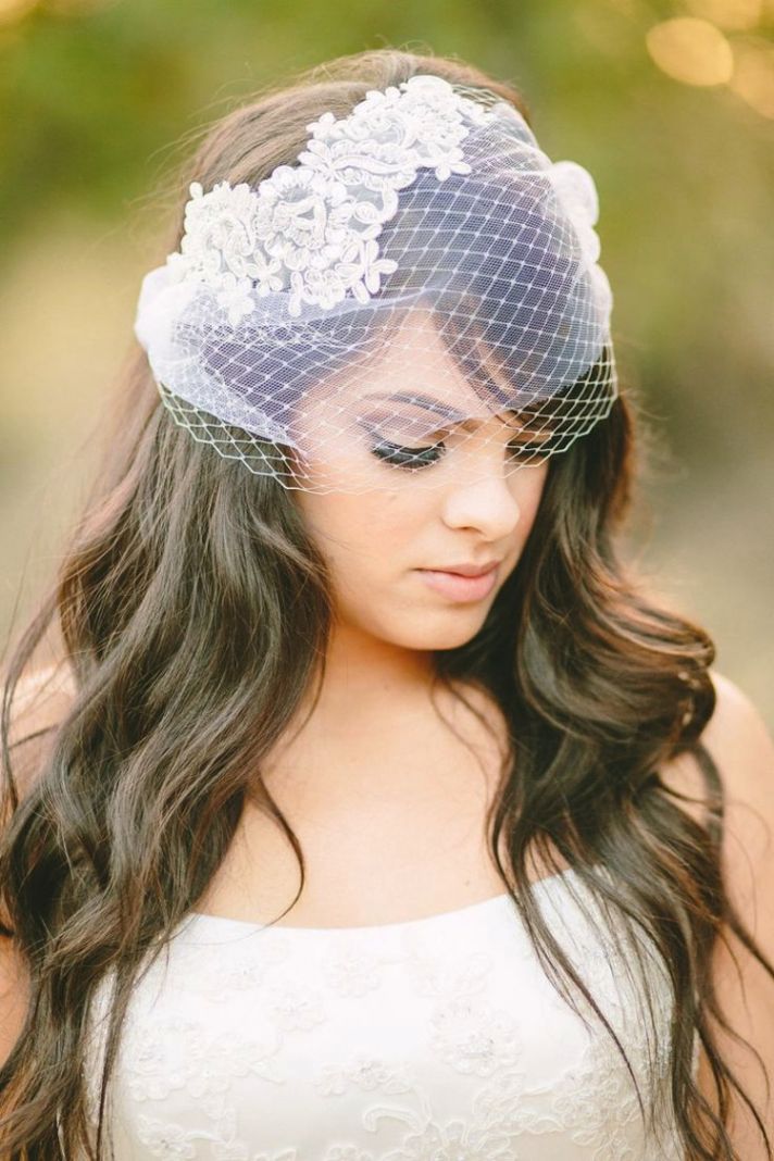 Lovely Birdcage veil