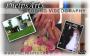 Videographers in Walkertown, NC: PhelpsArts