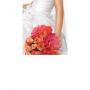 Officiants & Clergy in Fort Myers, FL: PLATINUM Florida Wedding Company