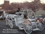 Transportation & Limos in Jackson, NJ: Cinderella Horse and Carriage for Weddings