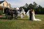 Transportation & Limos in Ball Ground, GA: Back In Time - Horse-Drawn Vehicles