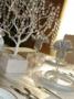 Decorations & Rentals in Eden Prairie, MN: DECORATE MY WEDDING
