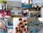 Wedding Planners / Consultants in Storrs, CT: ESTOccasions