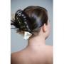 Hair, Makeup, & Spas in Wilmington, DE: Unforgettable