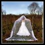 Photographers in Boston, MA: Portraits by Angela Photography