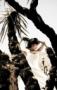 Photographers in Santa Fe, NM: 2 Birds Studio | Robin Parrott Photography