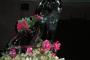 Wedding Planners / Consultants in Birmingham, AL: Simply Elegant Simone Weddings