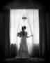 Photographers in Hawthorn Woods, IL: Nimagery
