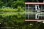Photographers in New York: Turnquist Photography