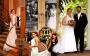 Photographers in Memphis, TN: David Starnes Photography