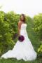 Photographers in Frederick, MD: Anna Kerns Photography, LLC