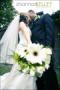 Photographers in Knoxville, TN: Shannon Kelley Photography