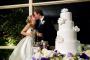 Cakes, Toppers, & Stands in Hixson, TN: Couture Cakes & Confections