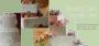Wedding Planners / Consultants in Chicago, IL: OneWed Inc.