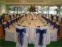 Decorations & Rentals in Traverse City, MI: Sweet Seats Chair Covers LLC