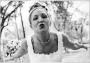 Photographers in Tampa, FL: Thompson Studios