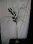 Decorations & Rentals in Fairfax, MN: Grapevine Gifts & Rentals, LLC