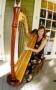 DJ's Bands & Musicians in Orlando, FL: Harpist Christine MacPhail - Orlando Harp Music