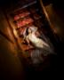 Photographers in Newport, AR: Mauldin Photography