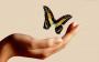 Hair, Makeup, & Spas in Rock Hill, SC: Rock Hill Therapeutic Massage, LLC