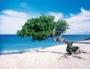 Destination & Honeymoons in Burlington, MA: All Bright Travel